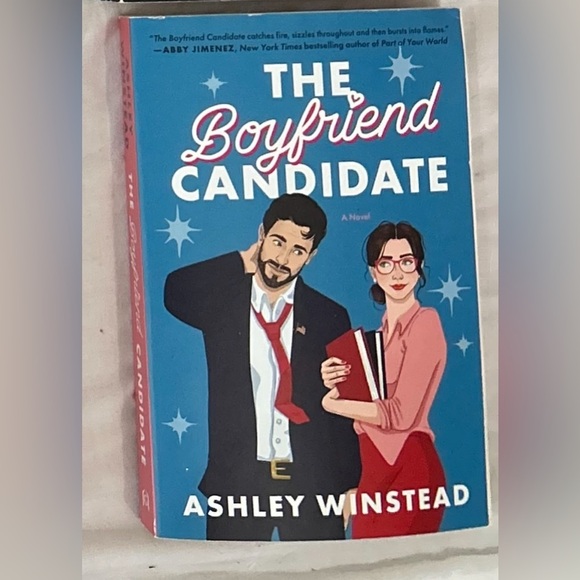 The Boyfriend Candidate Book - Picture 1 of 1